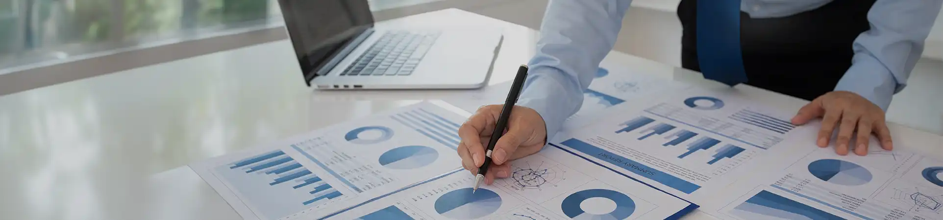 Bachelor in Business and Administration + Business and Analytics Certification by IBM