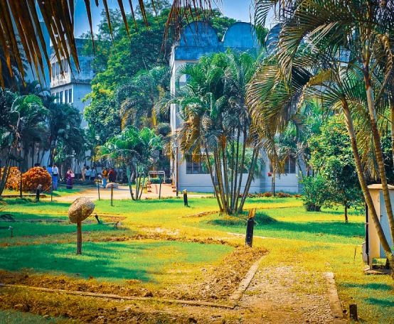 Unlocking Global Opportunities