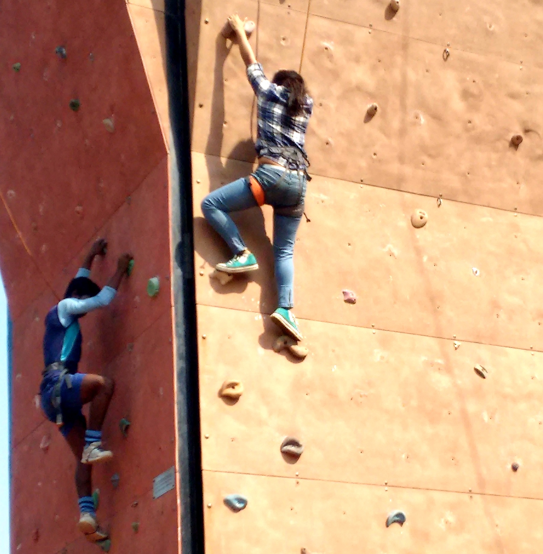 Oneday Rock Climbing Programme NSHM Knowledge Campus